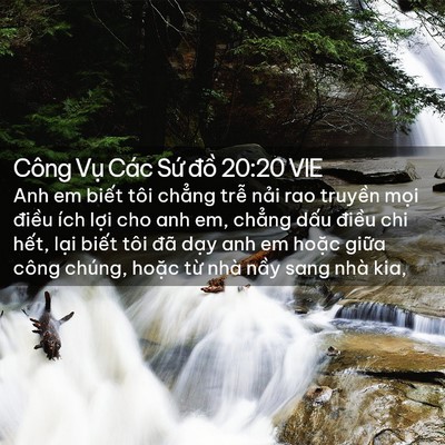 Picture 02 - Công Vụ Các Sứ đồ 20:20 VIE - Anh em biết tôi chẳng trễ nải rao - Bible Verse Picture