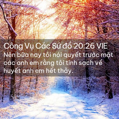 Picture 02 - Công Vụ Các Sứ đồ 20:26 VIE - Nên bữa nay tôi nói quyết trước mặt - Bible Verse Picture