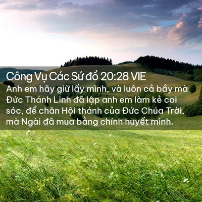 Picture 02 - Công Vụ Các Sứ đồ 20:28 VIE - Anh em hãy giữ lấy mình, và luôn cả - Bible Verse Picture