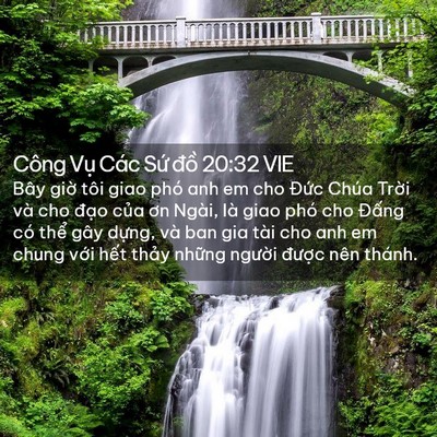 Picture 02 - Công Vụ Các Sứ đồ 20:32 VIE - Bây giờ tôi giao phó anh em cho Đức Chúa - Bible Verse Picture