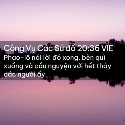 Picture 02 - Công Vụ Các Sứ đồ 20:36 VIE - Phao-lô nói lời đó xong, bèn quì xuống - Bible Verse Picture