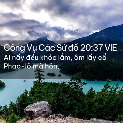 Picture 02 - Công Vụ Các Sứ đồ 20:37 VIE - Ai nấy đều khóc lắm, ôm lấy cổ - Bible Verse Picture