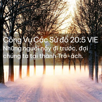 Picture 02 - Công Vụ Các Sứ đồ 20:5 VIE - Những người nầy đi trước, đợi - Bible Verse Picture