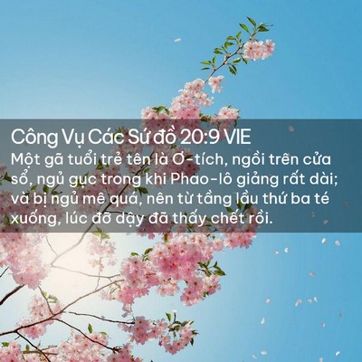 Picture 02 - Công Vụ Các Sứ đồ 20:9 VIE - Một gã tuổi trẻ tên là Ơ-tích, ngồi - Bible Verse Picture