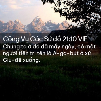 Picture 02 - Công Vụ Các Sứ đồ 21:10 VIE - Chúng ta ở đó đã mấy ngày, có một - Bible Verse Picture