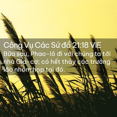 Picture 02 - Công Vụ Các Sứ đồ 21:18 VIE - Bữa sau, Phao-lô đi với chúng ta tới - Bible Verse Picture