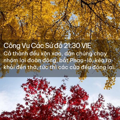 Picture 02 - Công Vụ Các Sứ đồ 21:30 VIE - Cả thành đều xôn xao, dân chúng chạy - Bible Verse Picture