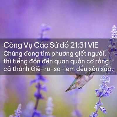 Picture 02 - Công Vụ Các Sứ đồ 21:31 VIE - Chúng đang tìm phương giết người, thì - Bible Verse Picture