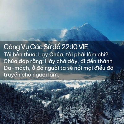 Picture 02 - Công Vụ Các Sứ đồ 22:10 VIE - Tôi bèn thưa: Lạy Chúa, tôi phải làm - Bible Verse Picture