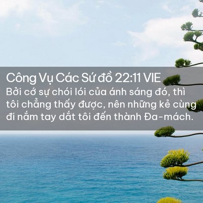 Picture 02 - Công Vụ Các Sứ đồ 22:11 VIE - Bởi cớ sự chói lói của ánh sáng đó, - Bible Verse Picture