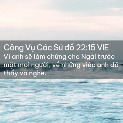Picture 02 - Công Vụ Các Sứ đồ 22:15 VIE - Vì anh sẽ làm chứng cho Ngài trước - Bible Verse Picture