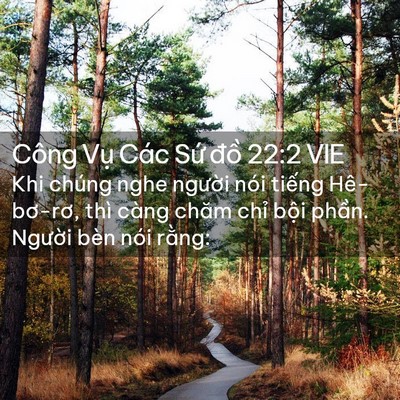 Picture 02 - Công Vụ Các Sứ đồ 22:2 VIE - Khi chúng nghe người nói tiếng - Bible Verse Picture