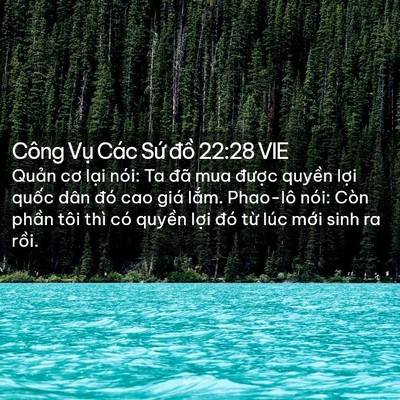 Picture 02 - Công Vụ Các Sứ đồ 22:28 VIE - Quản cơ lại nói: Ta đã mua được - Bible Verse Picture
