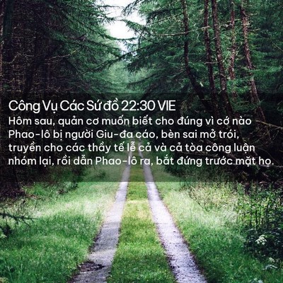 Picture 02 - Công Vụ Các Sứ đồ 22:30 VIE - Hôm sau, quản cơ muốn biết cho đúng vì - Bible Verse Picture