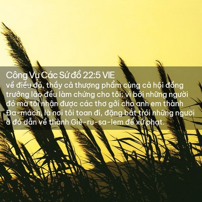 Picture 02 - Công Vụ Các Sứ đồ 22:5 VIE - về điều đó, thầy cả thượng phẩm - Bible Verse Picture
