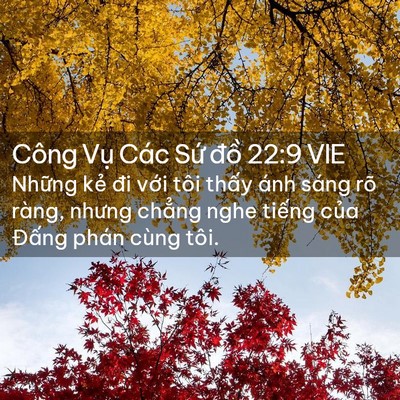 Picture 02 - Công Vụ Các Sứ đồ 22:9 VIE - Những kẻ đi với tôi thấy ánh sáng rõ - Bible Verse Picture