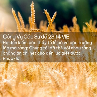 Picture 02 - Công Vụ Các Sứ đồ 23:14 VIE - Họ đến kiếm các thầy tế lễ cả và - Bible Verse Picture