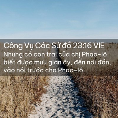 Picture 02 - Công Vụ Các Sứ đồ 23:16 VIE - Nhưng có con trai của chị Phao-lô biết - Bible Verse Picture