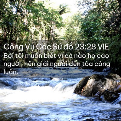 Picture 02 - Công Vụ Các Sứ đồ 23:28 VIE - Bởi tôi muốn biết vì cớ nào họ cáo - Bible Verse Picture