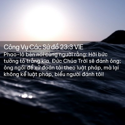 Picture 02 - Công Vụ Các Sứ đồ 23:3 VIE - Phao-lô bèn nói cùng người rằng: Hỡi - Bible Verse Picture