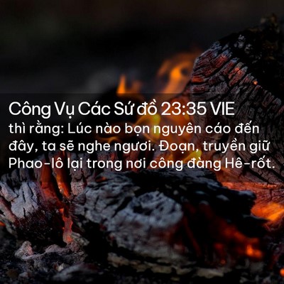 Picture 02 - Công Vụ Các Sứ đồ 23:35 VIE - thì rằng: Lúc nào bọn nguyên cáo đến - Bible Verse Picture