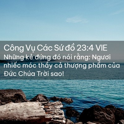 Picture 02 - Công Vụ Các Sứ đồ 23:4 VIE - Những kẻ đứng đó nói rằng: Ngươi - Bible Verse Picture
