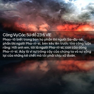 Picture 02 - Công Vụ Các Sứ đồ 23:6 VIE - Phao-lô biết trong bọn họ phần thì - Bible Verse Picture