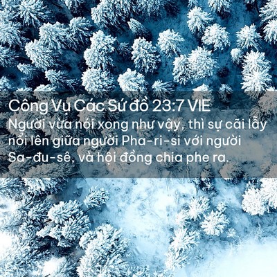 Picture 02 - Công Vụ Các Sứ đồ 23:7 VIE - Người vừa nói xong như vậy, thì sự - Bible Verse Picture