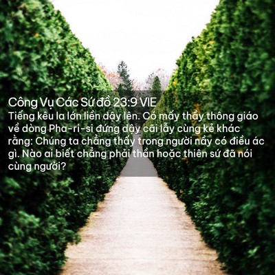 Picture 02 - Công Vụ Các Sứ đồ 23:9 VIE - Tiếng kêu la lớn liền dậy lên. Có - Bible Verse Picture