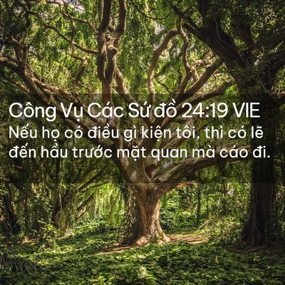 Picture 02 - Công Vụ Các Sứ đồ 24:19 VIE - Nếu họ có điều gì kiện tôi, thì có - Bible Verse Picture