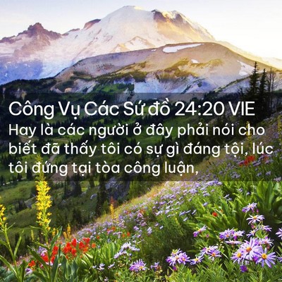 Picture 02 - Công Vụ Các Sứ đồ 24:20 VIE - Hay là các người ở đây phải nói cho - Bible Verse Picture