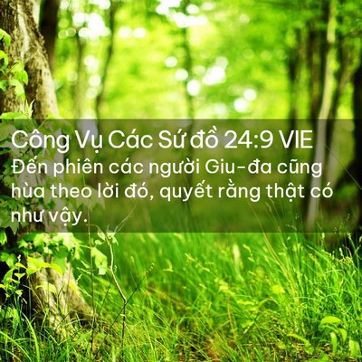 Picture 02 - Công Vụ Các Sứ đồ 24:9 VIE - Đến phiên các người Giu-đa cũng hùa - Bible Verse Picture