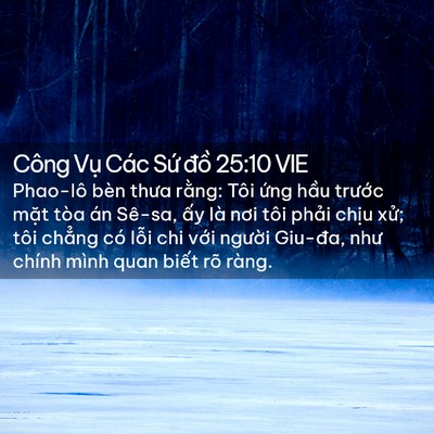 Picture 02 - Công Vụ Các Sứ đồ 25:10 VIE - Phao-lô bèn thưa rằng: Tôi ứng hầu - Bible Verse Picture