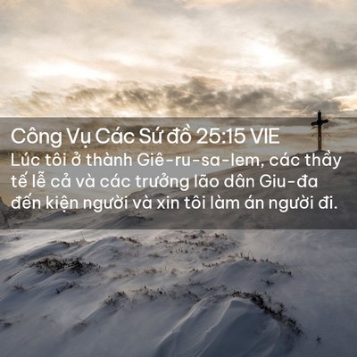 Picture 02 - Công Vụ Các Sứ đồ 25:15 VIE - Lúc tôi ở thành Giê-ru-sa-lem, các thầy - Bible Verse Picture