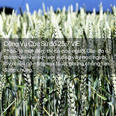 Picture 02 - Công Vụ Các Sứ đồ 25:7 VIE - Phao-lô mới đến, thì có các người - Bible Verse Picture