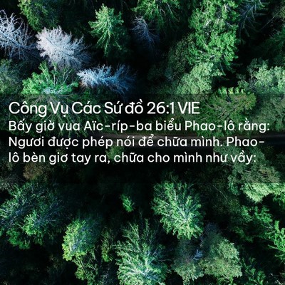 Picture 02 - Công Vụ Các Sứ đồ 26:1 VIE - Bấy giờ vua Aïc-ríp-ba biểu Phao-lô - Bible Verse Picture