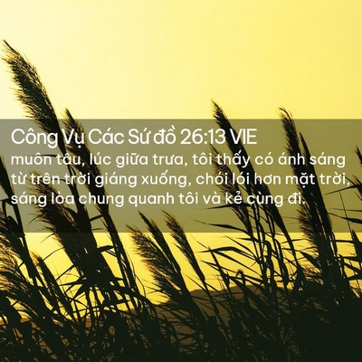 Picture 02 - Công Vụ Các Sứ đồ 26:13 VIE - muôn tâu, lúc giữa trưa, tôi thấy có - Bible Verse Picture