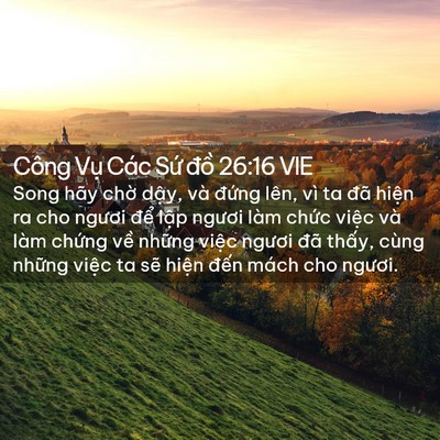 Picture 02 - Công Vụ Các Sứ đồ 26:16 VIE - Song hãy chờ dậy, và đứng lên, vì ta - Bible Verse Picture