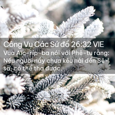 Picture 02 - Công Vụ Các Sứ đồ 26:32 VIE - Vua Aïc-ríp-ba nói với Phê-tu rằng: Nếu - Bible Verse Picture