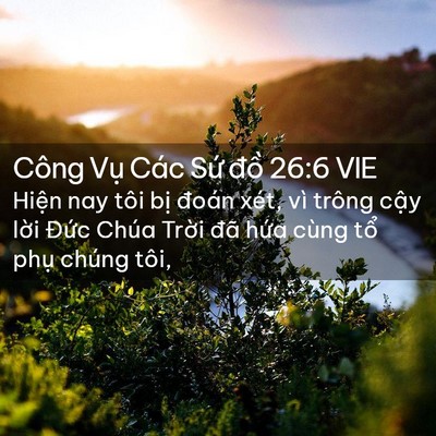 Picture 02 - Công Vụ Các Sứ đồ 26:6 VIE - Hiện nay tôi bị đoán xét, vì trông - Bible Verse Picture
