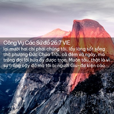 Picture 02 - Công Vụ Các Sứ đồ 26:7 VIE - lại mười hai chi phái chúng tôi, lấy - Bible Verse Picture