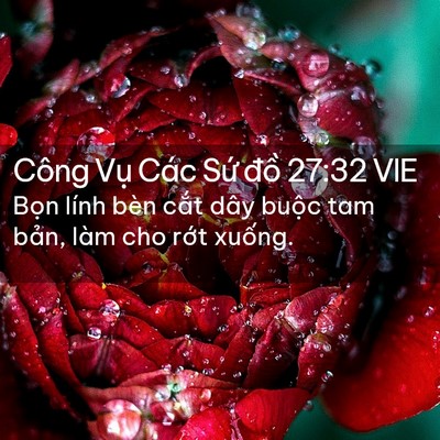 Picture 02 - Công Vụ Các Sứ đồ 27:32 VIE - Bọn lính bèn cắt dây buộc tam bản, - Bible Verse Picture