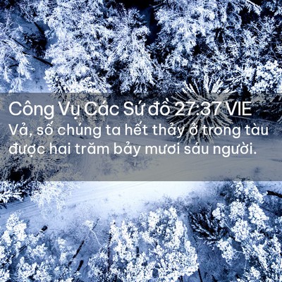 Picture 02 - Công Vụ Các Sứ đồ 27:37 VIE - Vả, số chúng ta hết thảy ở trong tàu - Bible Verse Picture