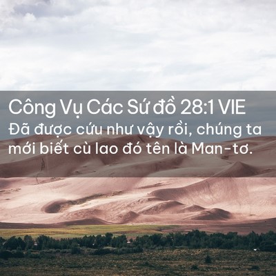 Picture 02 - Công Vụ Các Sứ đồ 28:1 VIE - Đã được cứu như vậy rồi, chúng ta - Bible Verse Picture