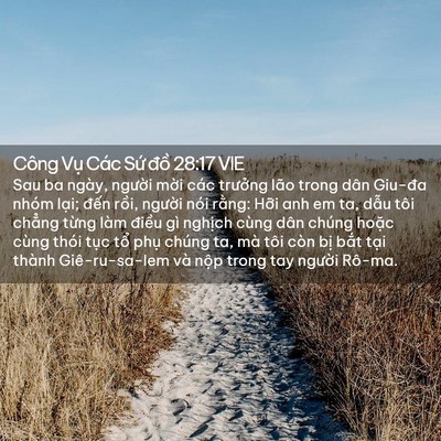 Picture 02 - Công Vụ Các Sứ đồ 28:17 VIE - Sau ba ngày, người mời các trưởng lão - Bible Verse Picture