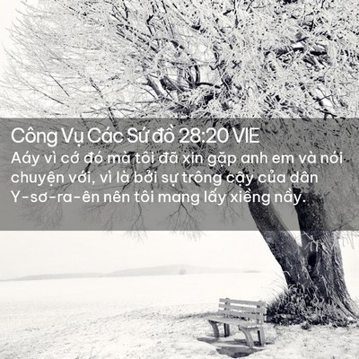 Picture 02 - Công Vụ Các Sứ đồ 28:20 VIE - Aáy vì cớ đó mà tôi đã xin gặp anh em - Bible Verse Picture