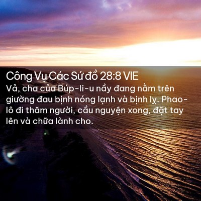 Picture 02 - Công Vụ Các Sứ đồ 28:8 VIE - Vả, cha của Búp-li-u nầy đang nằm trên - Bible Verse Picture