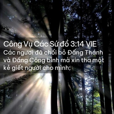 Picture 02 - Công Vụ Các Sứ đồ 3:14 VIE - Các ngươi đã chối bỏ Đấng Thánh và - Bible Verse Picture