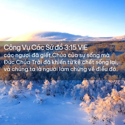 Picture 02 - Công Vụ Các Sứ đồ 3:15 VIE - các ngươi đã giết Chúa của sự sống - Bible Verse Picture