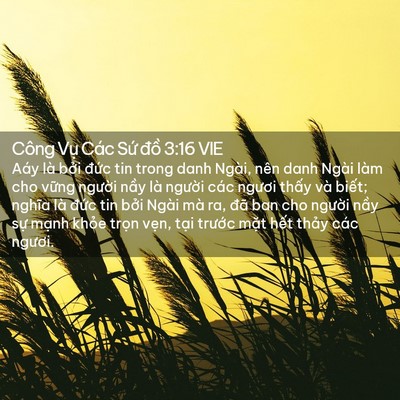 Picture 02 - Công Vụ Các Sứ đồ 3:16 VIE - Aáy là bởi đức tin trong danh Ngài, nên - Bible Verse Picture